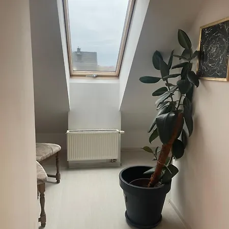 Motylkowa 125 M2 5 Pokoi アパート *